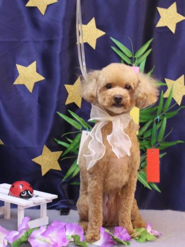 20230716おでんくん